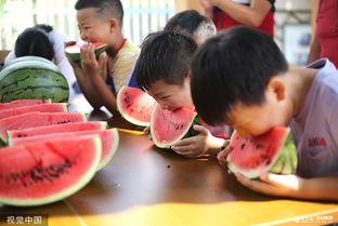 趣味吃瓜大比拼